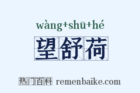 望舒荷是什么意思的图片
